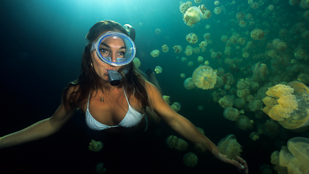 sloss photography jellyfish lake underwater